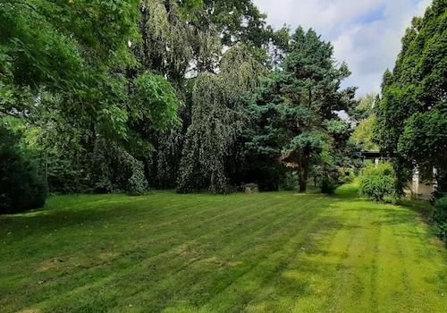 weitläufiger Gartenbereich
