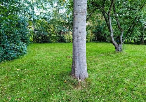 Der hintere Gartenbereich