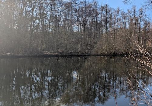 Spreeblick