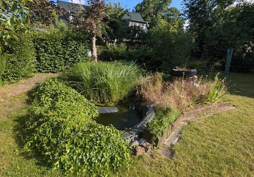 Gartenteich mit Springbrunnen