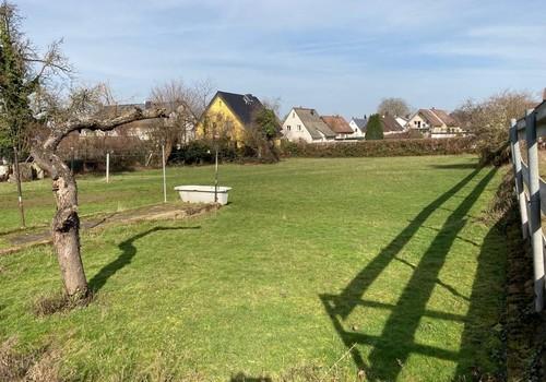 Weide: Blick zur Jahnstr.