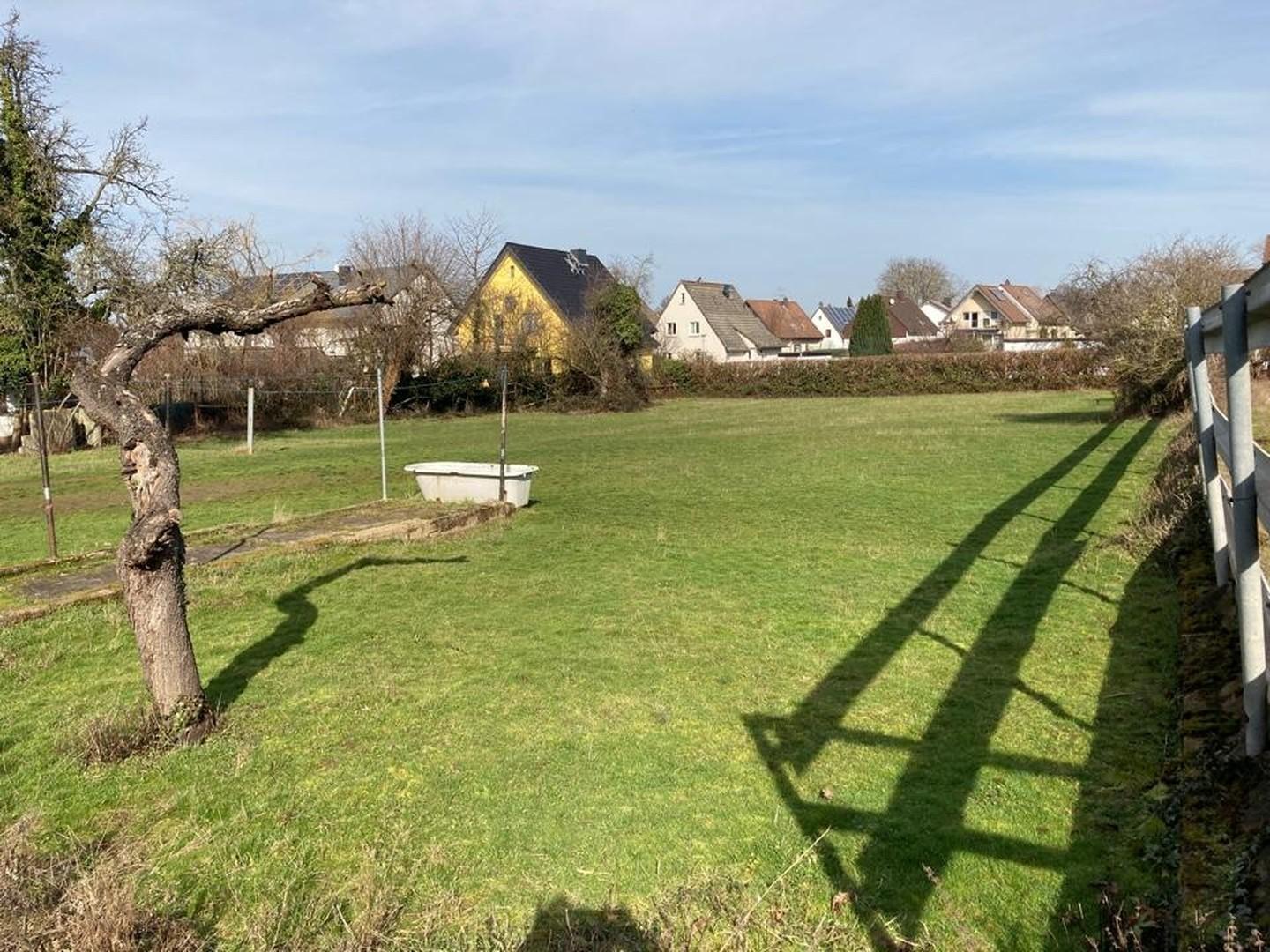Weide: Blick zur Jahnstr.