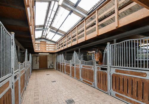 Stallungen