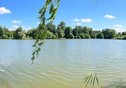 Wasserufer
