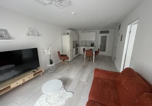 Wohnzimmer / Küche