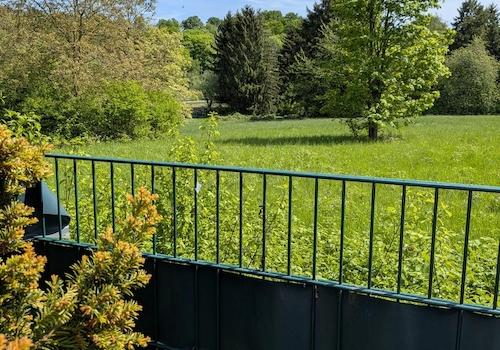 Ausblick Garten 
