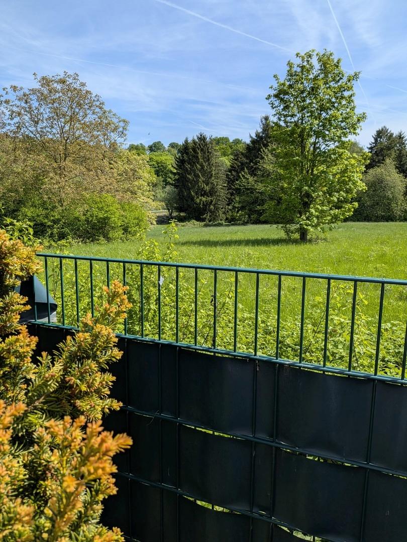 Ausblick Garten 