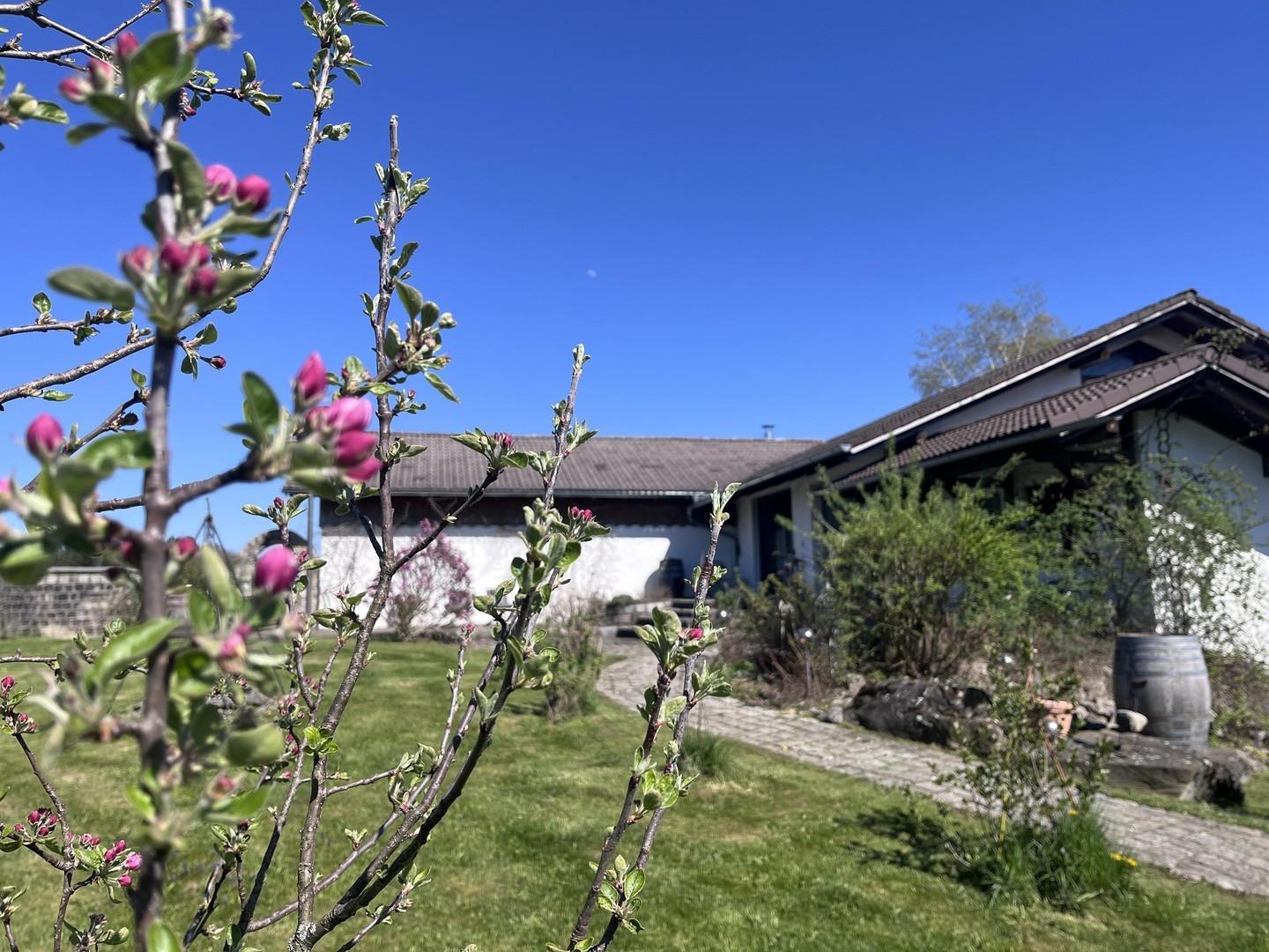 Garten