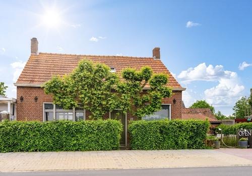 Ferienhaus-Nieuwvliet-kaufen03