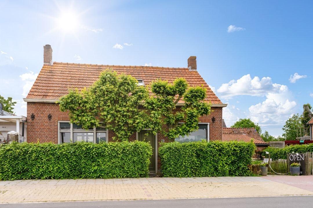 Ferienhaus-Nieuwvliet-kaufen03