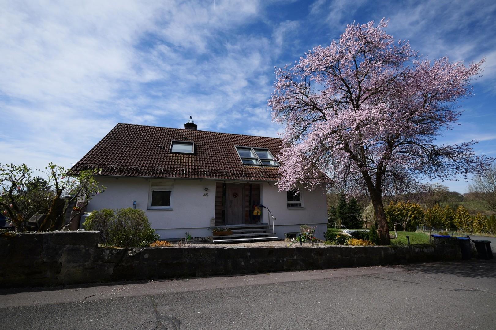 Haus mit Baum 2