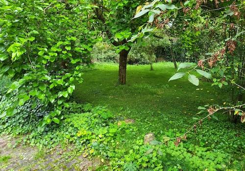 Gartenmitbenutzung