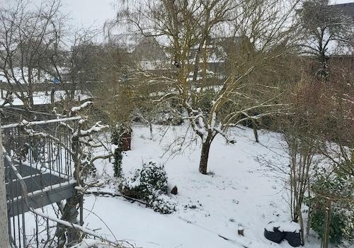 Winterwonderland