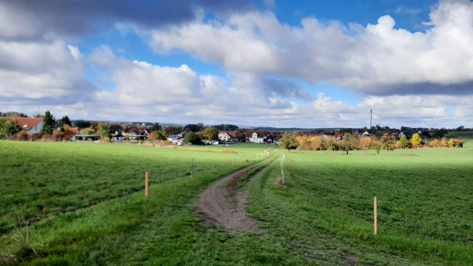 Niederzimmern