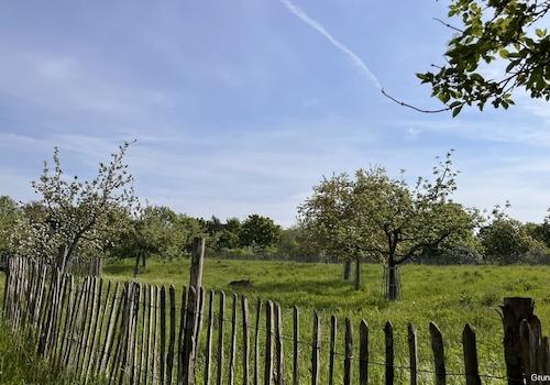 Domäne Dahlem