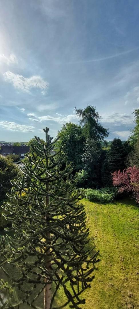 Blick in den Garten