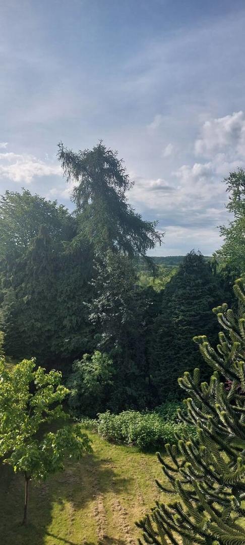 Blick in den Garten