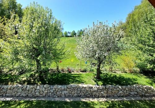 Blick in die Natur