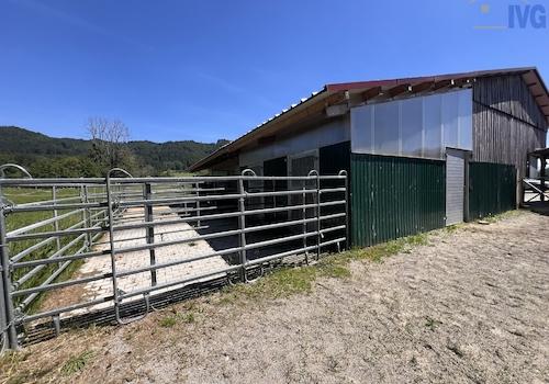Pferdebox mit Paddock