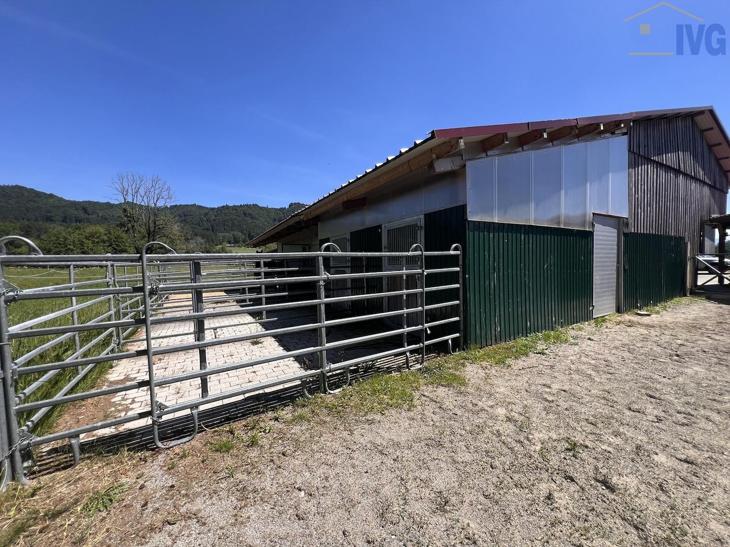Pferdebox mit Paddock