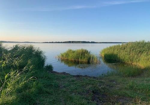 Bodden