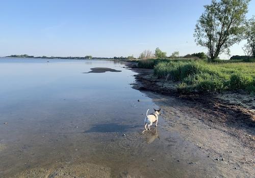 Bodden