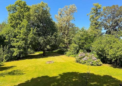 Blick in den Garten
