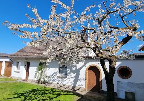Hof und Eingang zur Ferienwohnung
