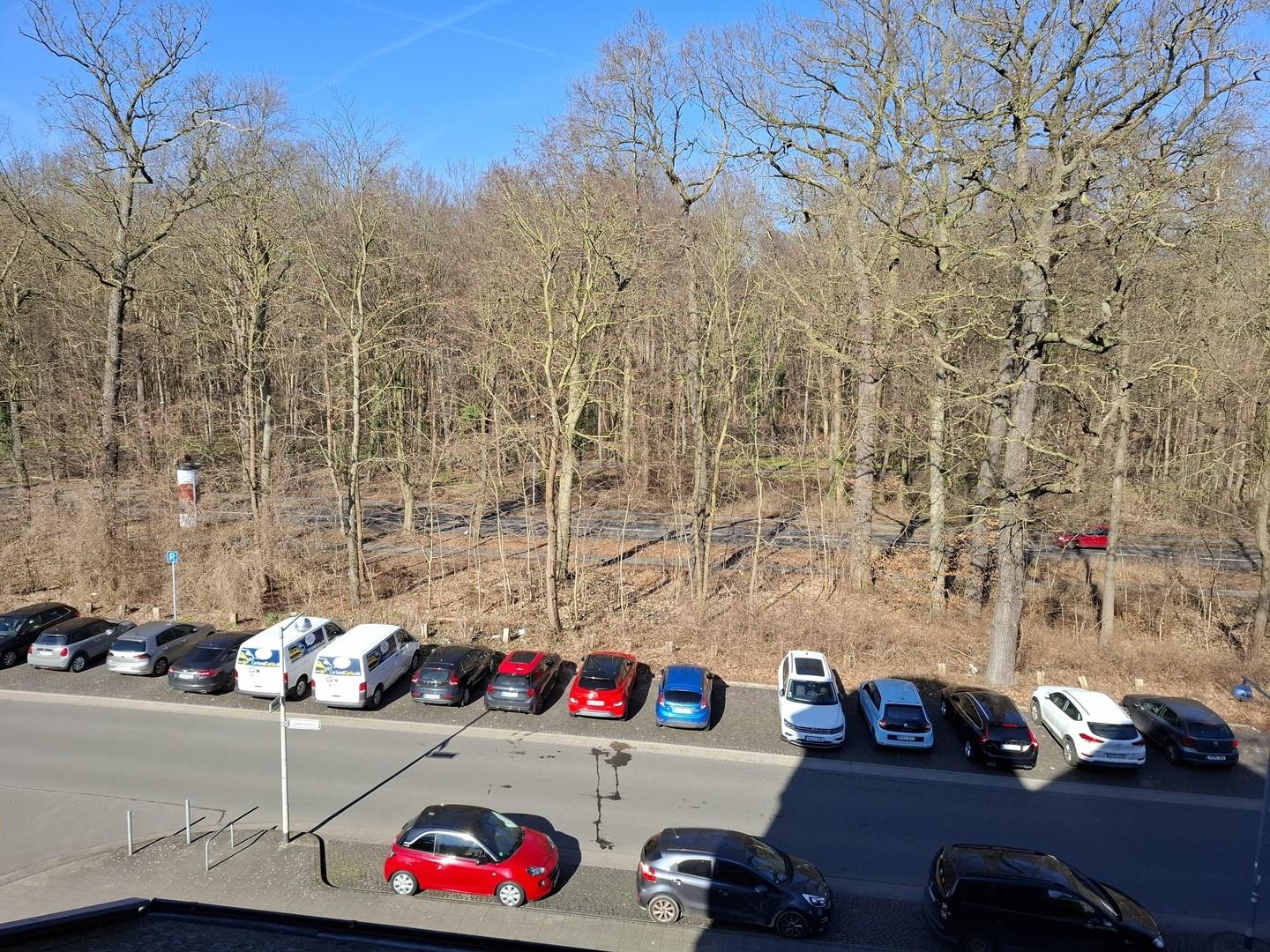 Blick in die Eilenriede