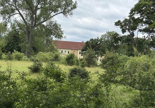 Blick aus dem Grünen von Osten