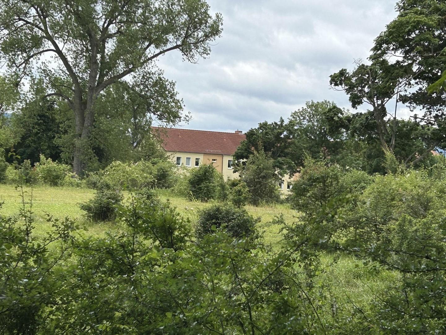 Blick aus dem Grünen von Osten
