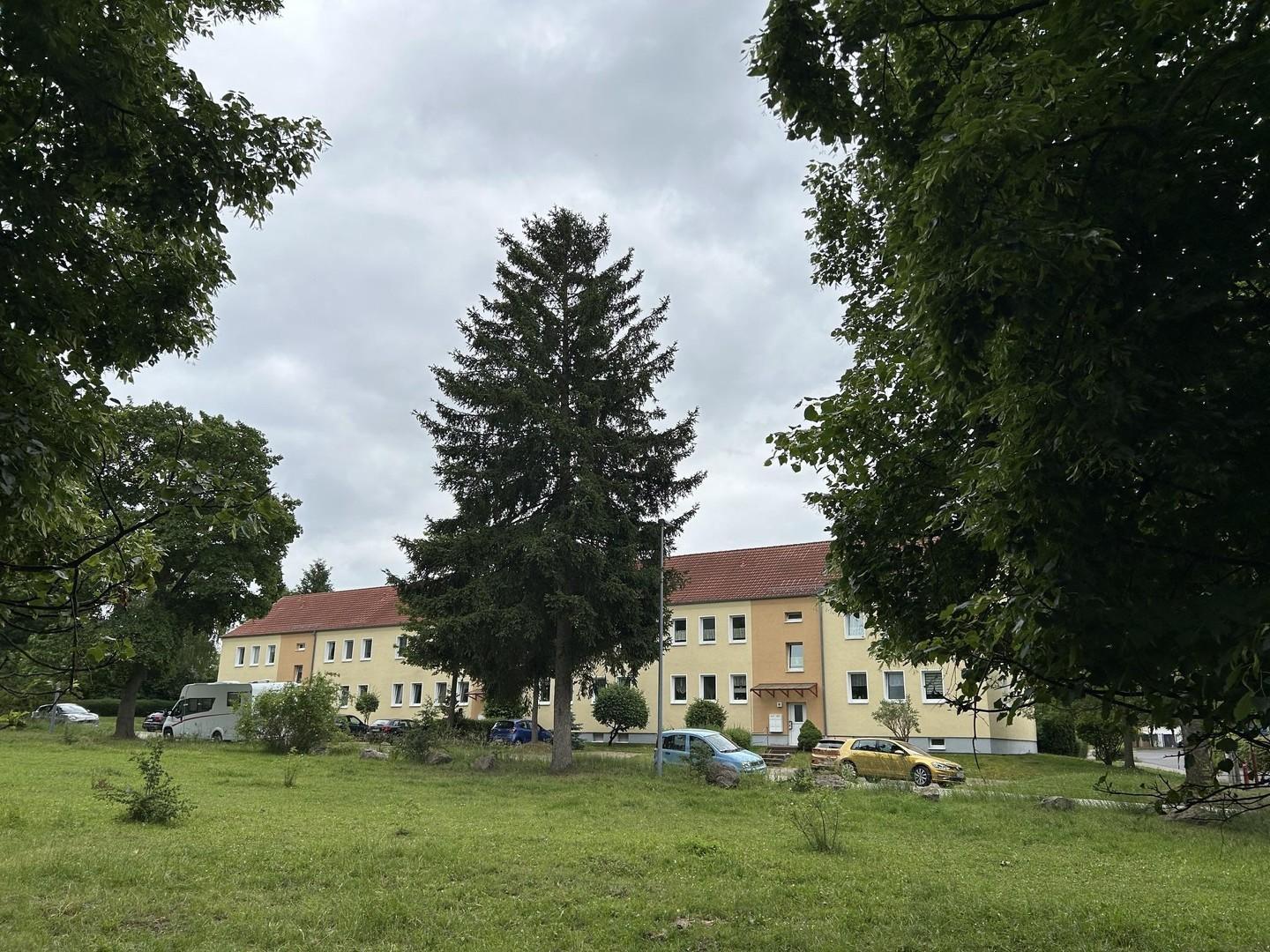 Blick aus dem Grünen von West