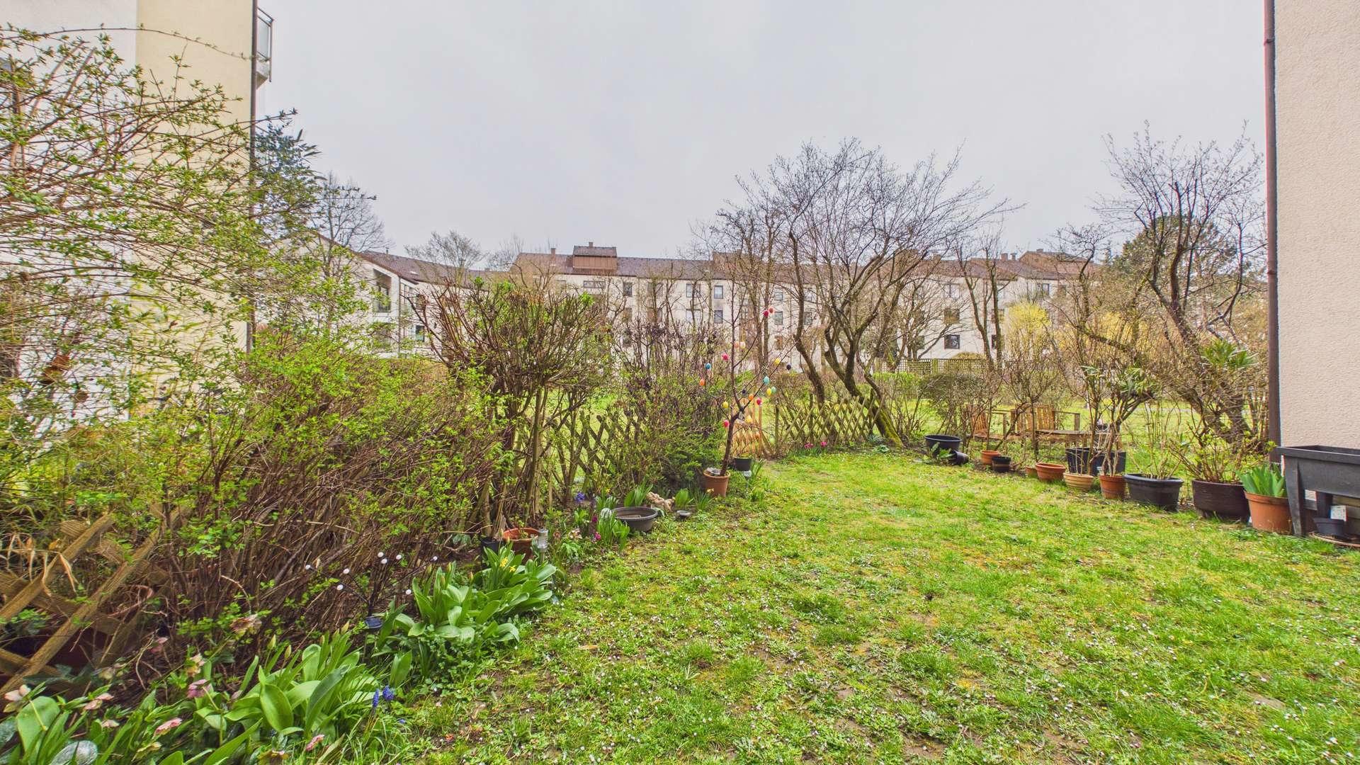 Blick ins Grüne