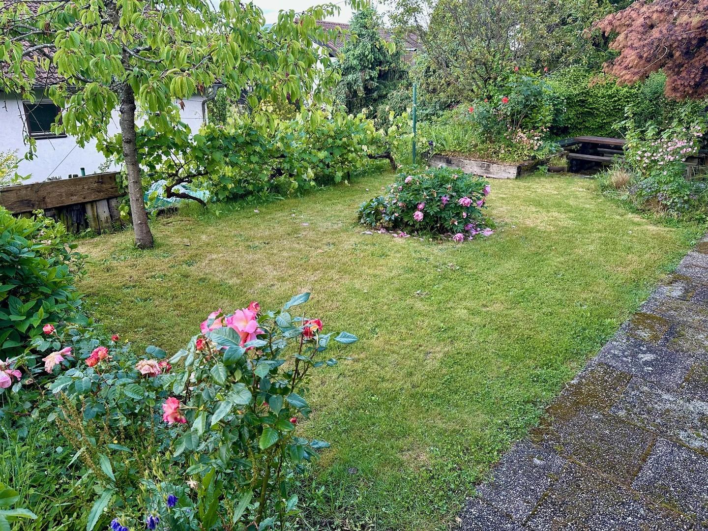 Garten