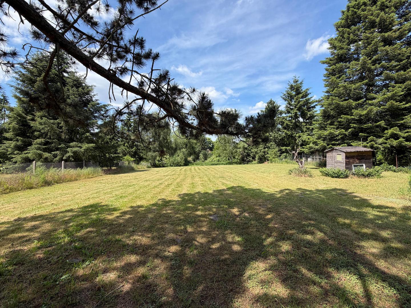 Garten mit Blick nach Norden