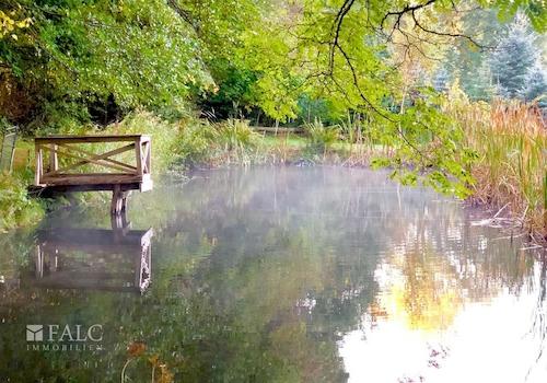Teich 