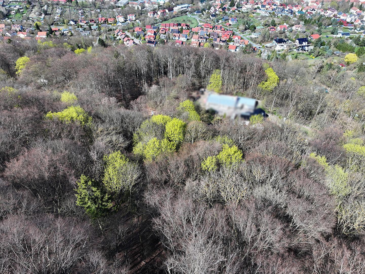 Blick auf die Kronen 