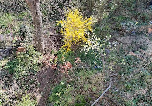 garten hinten (1)