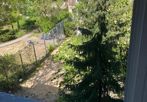Blick aus dem Fenster