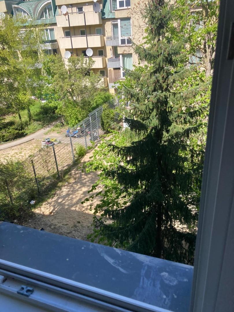 Blick aus dem Fenster