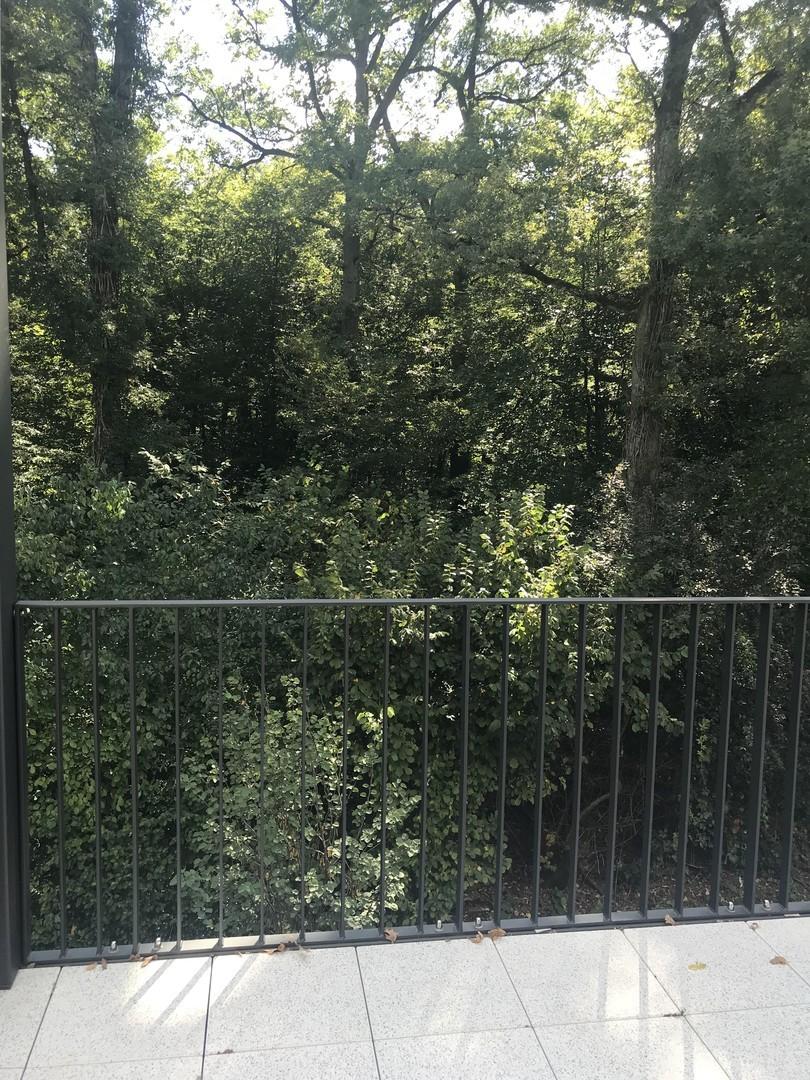 Ausblick vom Balkon