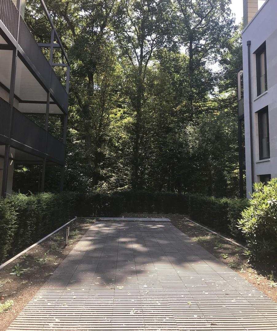 Zugang zum Wald