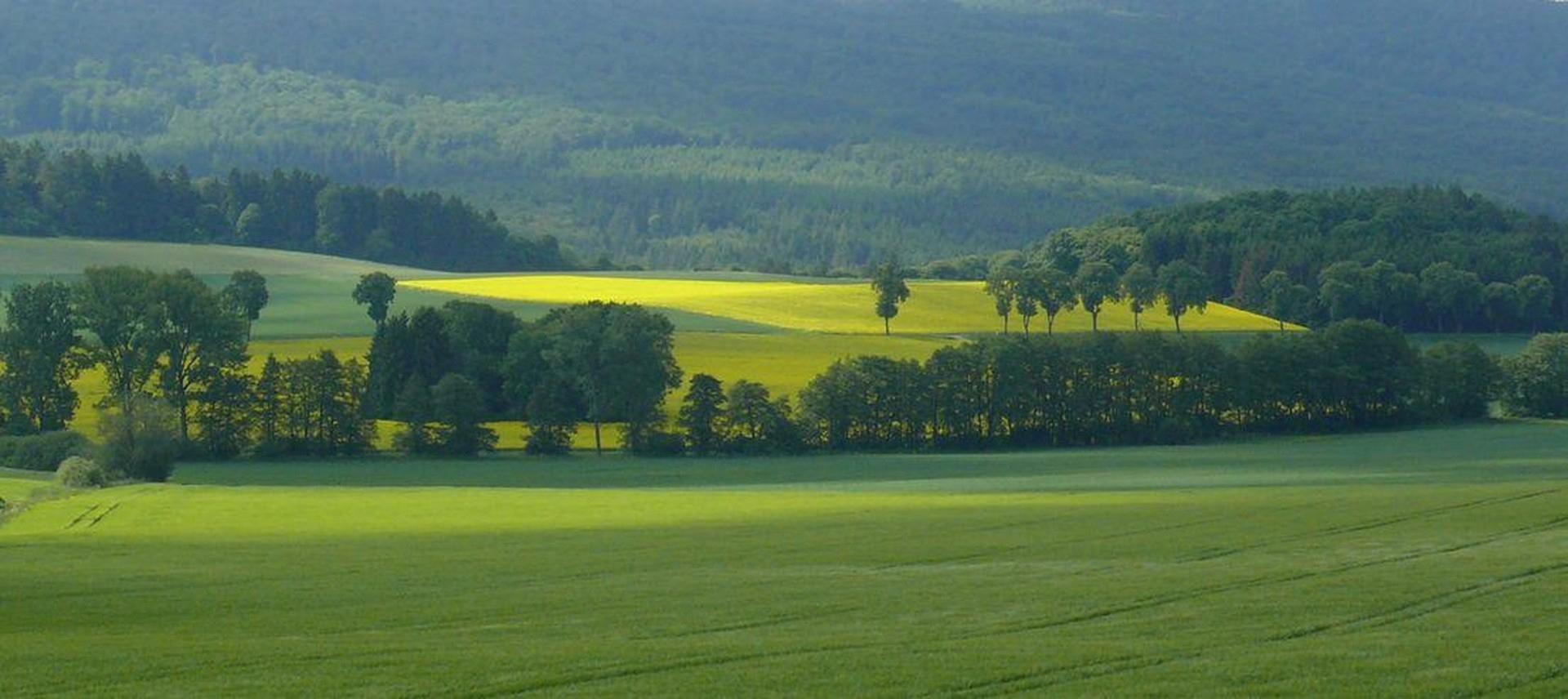 Landschaft bei Bergfreiheit