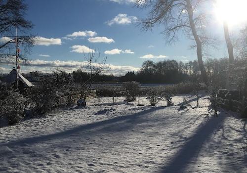 Blick in den Garten 