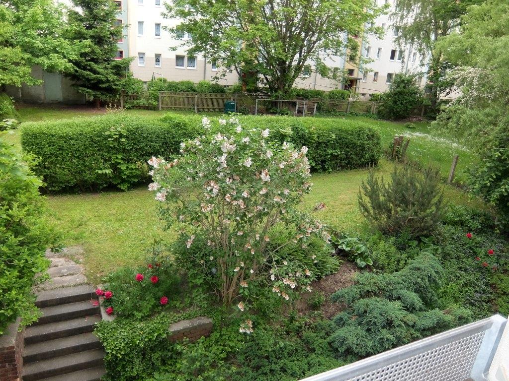 grüner Innenhof
