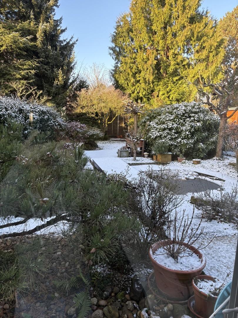 Garten im Winter