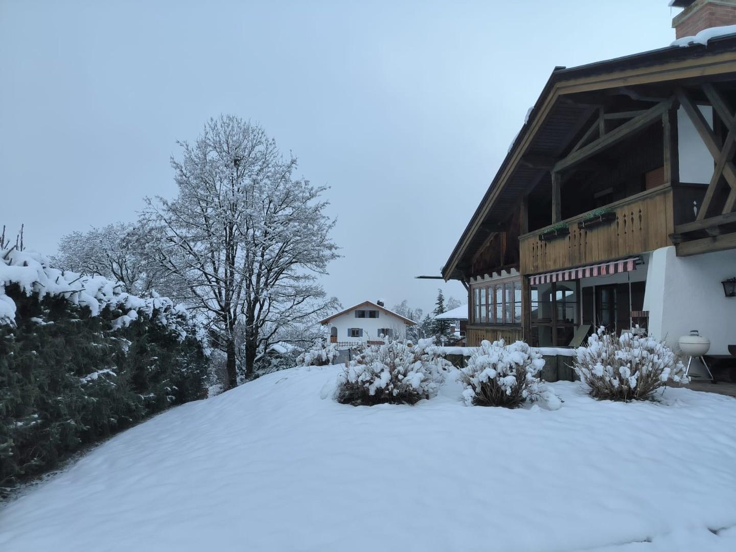 Winter