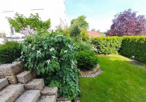Terrasse und Garten Bild 4
