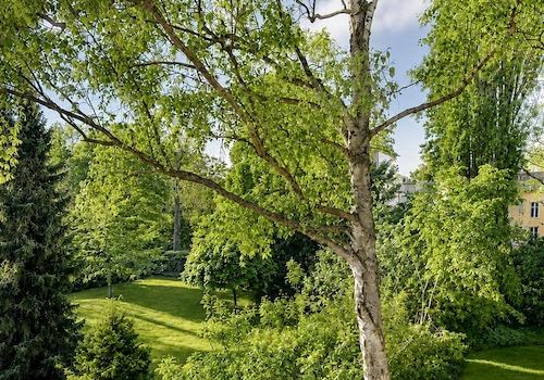 Balkonblick ins Grüne