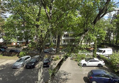 Blick aus dem Küchenfenster